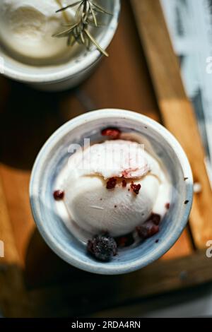 Delizioso yogurt gelato ai mirtilli fatto in casa, messa a fuoco selettiva Foto Stock