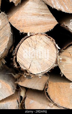 foto di un mucchio di alberi tagliati, legna da ardere, primo piano di blocchi di legno Foto Stock