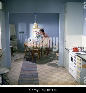 Casa boro. Una casa svedese di lunga data che risale alla fine del XIX secolo. Il crescente movimento domestico negli anni '1920 ha portato l'azienda a investire nella produzione di case su larga scala, e la società boro hus è stata fondata a Landsbro fuori Vetlanda a Småland. Il nome è un'abbreviazione delle parole: Vivere in pace nella propria casa. L'azienda è diventata il più grande produttore di case prefabbricate del paese. Moduli, pareti e arredi assemblati in fabbrica hanno reso il metodo di costruzione economicamente efficace. L'HSB ha acquistato il movimento cooperativo per l'edilizia residenziale Foto Stock