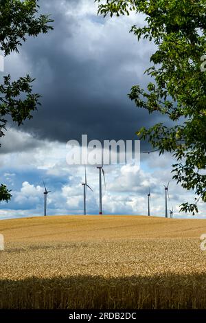 Prenzlau, Germania. 20 luglio 2023. Le nuvole scure possono essere viste su un campo. In molte regioni della Germania, al momento, ci si aspetta un clima mutevole. Crediti: Jens Kalaene/dpa/Alamy Live News Foto Stock