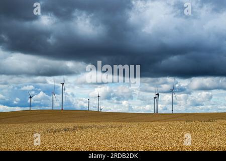 Prenzlau, Germania. 20 luglio 2023. Le nuvole scure possono essere viste su un campo. In molte regioni della Germania, al momento, ci si aspetta un clima mutevole. Crediti: Jens Kalaene/dpa/Alamy Live News Foto Stock