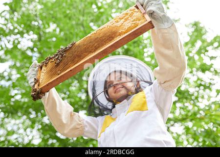 Vista angolare ridotta della ragazza che esamina la cornice a nido d'ape con le api mellifere mentre si trova in piedi nel giardino degli apiari Foto Stock