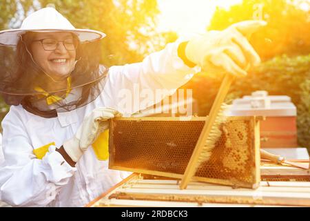 Apiarista femminile che rimuove le api dal telaio dell'alveare con la scopa per api Foto Stock