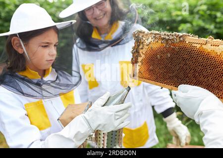 Ragazza che tiene fumatore da apicoltori anziani con cornice a nido d'ape nel giardino dell'apiario Foto Stock
