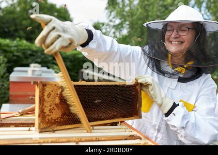 Donna sorridente come apicoltore che usa la scopa per spazzare via le api dal telaio dell'alveare Foto Stock