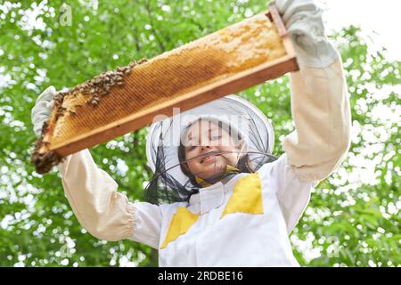 Ritratto ad angolo ridotto di una ragazza che guarda la cornice a nido d'ape con le api mellifere mentre si trova in piedi nel giardino dell'apiario Foto Stock