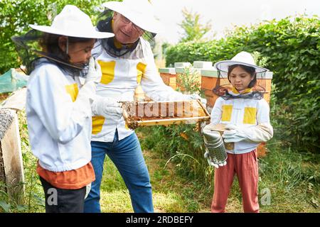 L'apiarista maschile anziano che tiene la cera d'api cornice vicino a ragazze con fumatore che emette fumo nel giardino dell'apiario Foto Stock