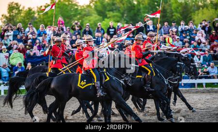 Ottawa, Canada - 22 maggio 2023: Spettacolo del rodeo nella sede della RCMP Musical Ride Stables Foto Stock