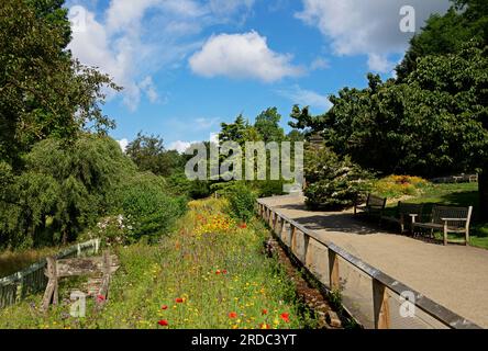 Golden Acre Park, Bramhope, vicino a Leeds, West Yorkshire, Inghilterra, Regno Unito Foto Stock