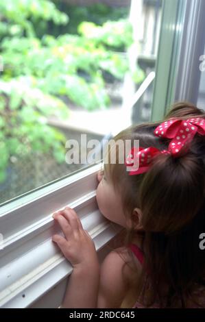 Il bambino si allunga per guardare fuori dalla finestra. Il suo naso è premuto contro il sigillo della finestra e la sua mente è impegnata ad assorbire il mondo esterno. Foto Stock