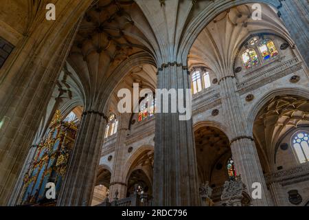 Interno della nuova cattedra, costruita durante il XVI secolo in stile tardo gotico e rinascimentale, chiamata anche stile plateresco. Salamanca, Spagna. Foto Stock