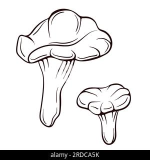 Funghi chanterelle in stile art-style. Icona del fungo disegnata a mano. Illustrazione vettoriale isolata su sfondo bianco. Illustrazione Vettoriale