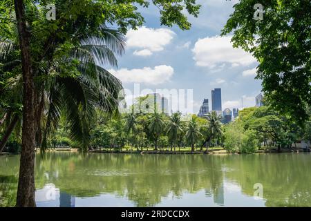 Lumpini Park, lago verde della foresta a Bangkok, Thailandia Foto Stock