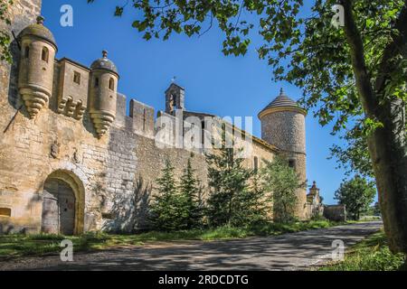 Geografia / viaggi, Francia, Provenza, Lioux, Chateau de Javon a Lioux, Vaucluse, Provenza, ULTERIORI-DIRITTI-AUTORIZZAZIONE-INFO-NON-DISPONIBILE Foto Stock