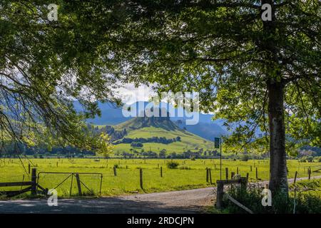 Geografia / viaggi, nuova Zelanda, Waikato, Whenuakite, prato di poliziotti e montagne a Whenuakite, Waikato, DIRITTI AGGIUNTIVI-AUTORIZZAZIONE-INFO-NON-DISPONIBILE Foto Stock