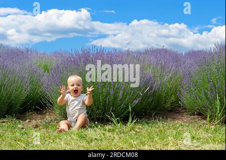 Il bambino che esprime la sua gioia alzando le mani mentre è seduto e sullo sfondo è un campo di lavanda Foto Stock