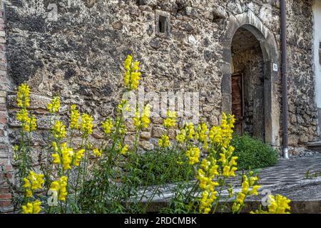 Porta d'ingresso al cortile di un palazzo signorile nel borgo medievale di Goriano Sicoli. Provincia dell'Aquila, Abruzzo, Italia, Europa Foto Stock