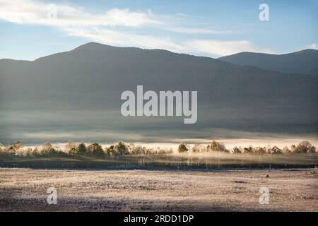 Cades Cove, Great Smoky Mountains National Park - Sevier County, Tennessee. Il sole mattutino mette in risalto la bassa nebbia nella vallata ricoperta di gelo Foto Stock