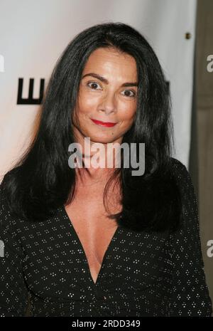 Mary Boone partecipa al Gala annuale al Whitney Museum of American Art di New York il 4 ottobre 2004. Crediti fotografici: Henry McGee/MediaPunch Foto Stock