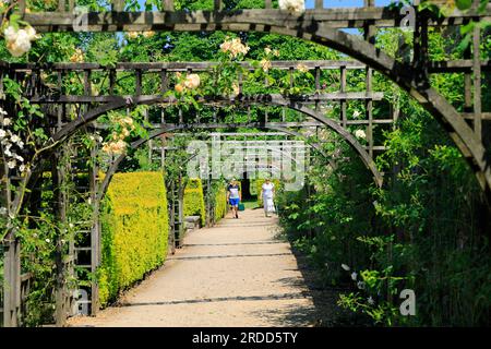 Rose Trellis, Gardens, St Fagans National Museum of History/Amgueddfa Werin Cymru, Cardiff, Galles del Sud, Regno Unito. Foto Stock