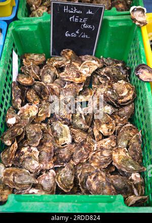 Frutti di mare in vendita al mercato di Aix-en-Provence, Francia Foto Stock
