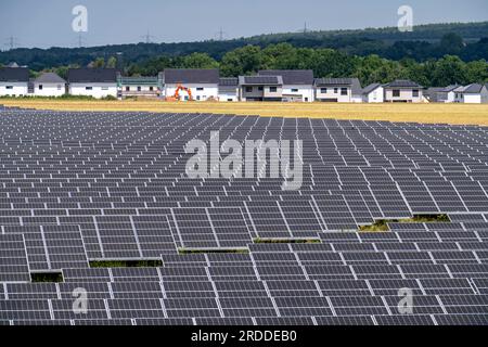 Impianto fotovoltaico nei pressi di Borna-Süd sulla A72, impianto fotovoltaico, parco solare, di Naturstrom Borna GmbH & Co KG, Städtische Werke Borna, Sassonia, Germania, Foto Stock