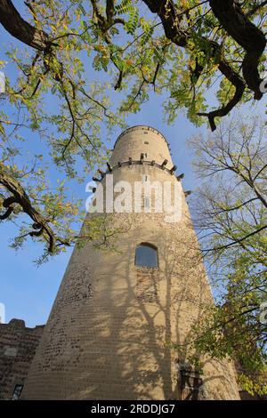 Guardando verso la Torre di Godesburg, Bad Godesberg, Bonn, Renania settentrionale-Vestfalia, Germania Foto Stock