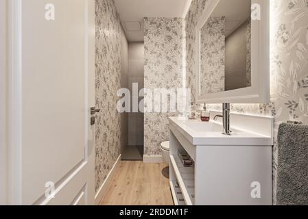 Bagno piccolo e allungato con un bel mobile bianco con lavandino moderno e una piccola cabina doccia sullo sfondo Foto Stock