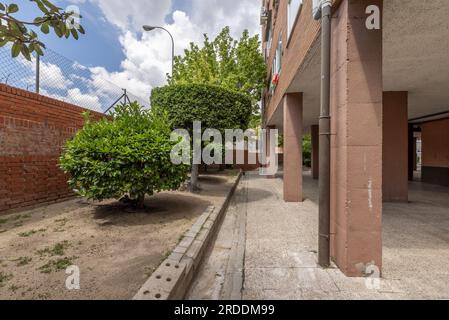 Aree comuni di un edificio residenziale urbano con alberi artisticamente potati Foto Stock