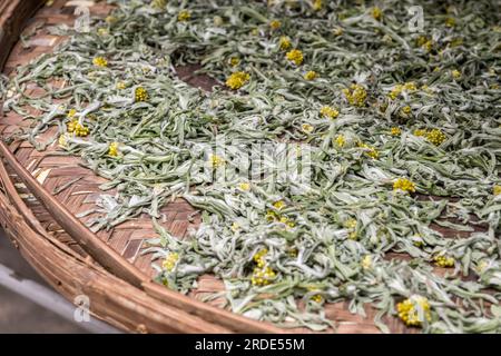 foglie di tè essiccate nel cestino di vimini . Foto di alta qualità Foto Stock