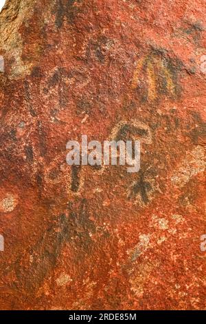 Arte rupestre aborigena al Parco Nazionale Uluru Kata Tjuta nel deserto dell'Australia centrale Foto Stock