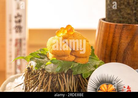 Riccio di mare fresco (uni), cibo giapponese. Foto Stock