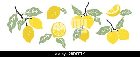I limoni astratti disegnati a mano sono isolati dal vettore. Illustrazione Vettoriale