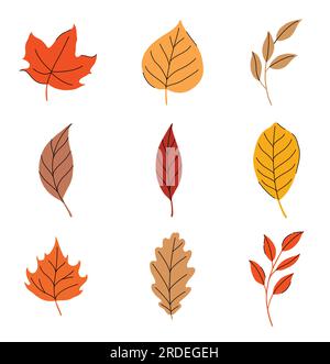Foglie di autunno set isolato su sfondo bianco. Illustrazione Vettoriale