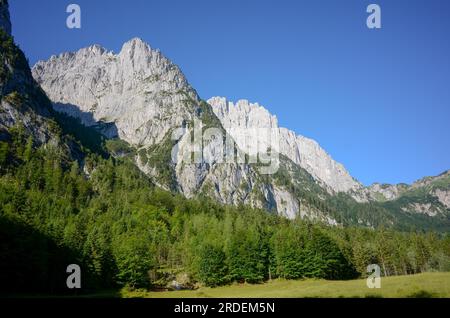 Vista dalla valle del Kaiserbachtal fino al Mitterkaiser e al Predigtstuhl (dietro) nel Wilder Kaiser, Tirolo, Austria Foto Stock