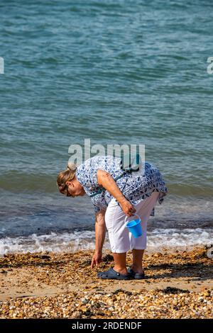 signora anziana che raccoglie conchiglie sulla spiaggia di cowes sull'isola di wight in una soleggiata giornata estiva. Foto Stock