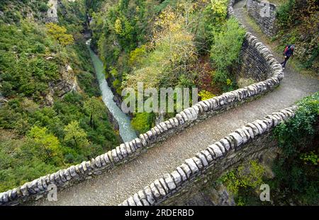 Puente romanico sobre el rio Bellós.Valle de Añisclo.Huesca.Cordillera pirenaica.España. Foto Stock