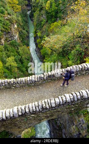 Puente romanico sobre el rio Bellós.Valle de Añisclo.Huesca.Cordillera pirenaica.España. Foto Stock