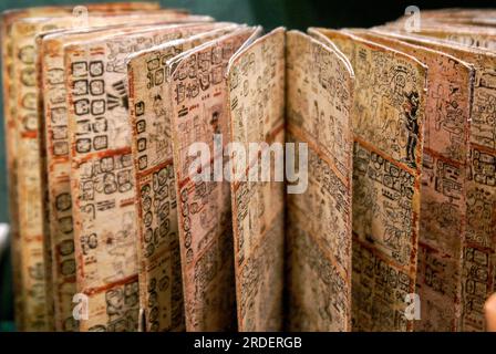 Codex Grolier. Cultura Maya. Museo Nazionale di Antropologia. Stato del Messico D.F. Messico. Foto Stock