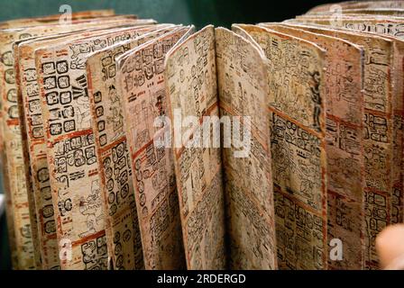 Codex Grolier. Cultura Maya. Museo Nazionale di Antropologia. Stato del Messico D.F. Messico. Foto Stock