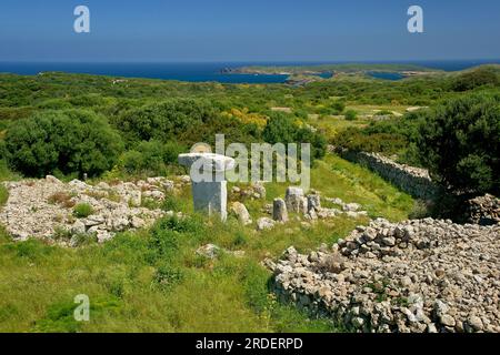 Taula de sa Torreta (Torre Blanca). Parc Natural de S' Albufera des Grau. Minorca. Riserva della biosfera. Isole Baleari. Spagna. Foto Stock