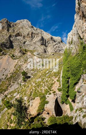 Coma de n'Arbona, Casas de Nieve o Case de Neu, comune di Fornalutx, cornice naturale della Sierra de Tramuntana, Maiorca, isole Baleari, Foto Stock