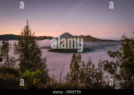 Alba a Gunung Bromo o Monte Bromo che è coperto da nuvole e Monte Semeru come sfondo con cielo viola chiaro Foto Stock