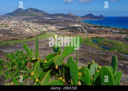 Vista del campo da golf e del villaggio di Vila Baleira, dei cactus, dell'isola di Porto Santo e dell'isola di Madeira Foto Stock