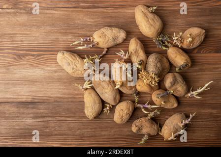 Set di patate con germogli su un tavolo di legno. Patate germogliate. I germogli fanno parte del naturale processo di crescita delle patate Foto Stock