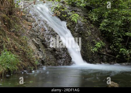 A nord di Gran Canaria, acqua dolce che scorre nel burrone di Barranco de Azuaje, una delle uniche due fonti di acqua dolce rimaste sull'isola Foto Stock