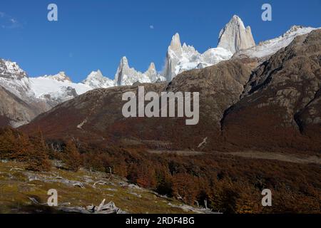 autunno a el chaltén con il picco fitzroy sullo sfondo Foto Stock