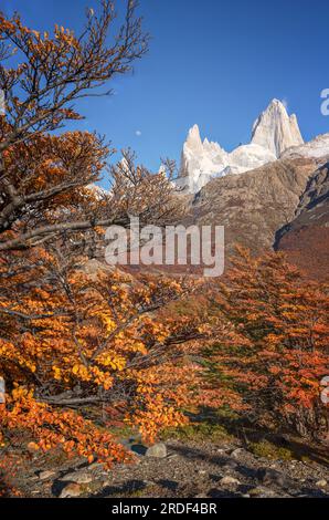 autunno a el chaltén con il picco fitzroy sullo sfondo Foto Stock