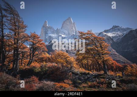 autunno a el chaltén con il picco fitzroy sullo sfondo Foto Stock