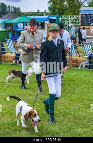 The Showground, Peterborough, Regno Unito – oltre ai Fox Hounds, il Festival of Hunting celebra Beagles, Harriers e Basset Hounds, rendendolo uno dei più grandi spettacoli di canili profumati al mondo Foto Stock